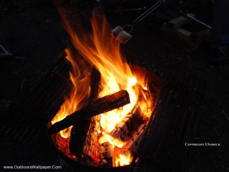 campfire-flame-1.jpeg